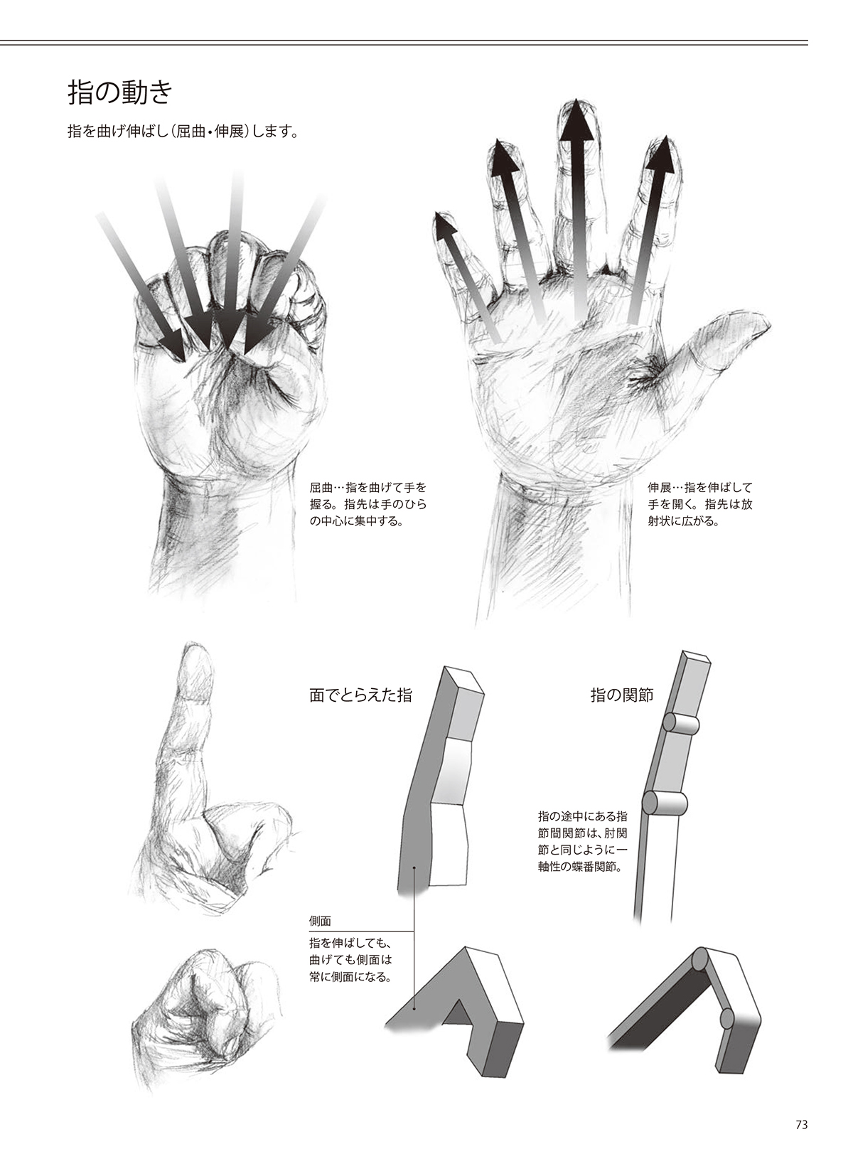 人物を描く基本 使える美術解剖図 | ホビージャパンの技法書