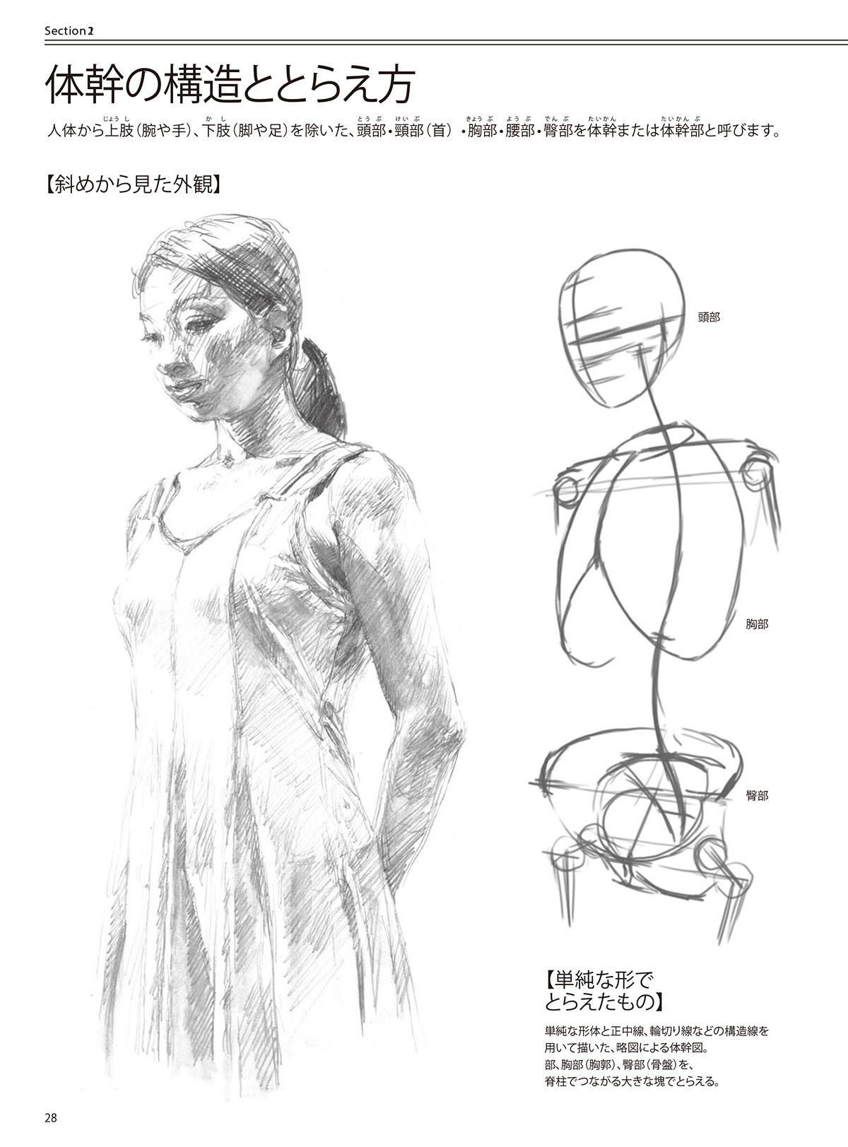 人物を描く基本 使える美術解剖図 | ホビージャパンの技法書