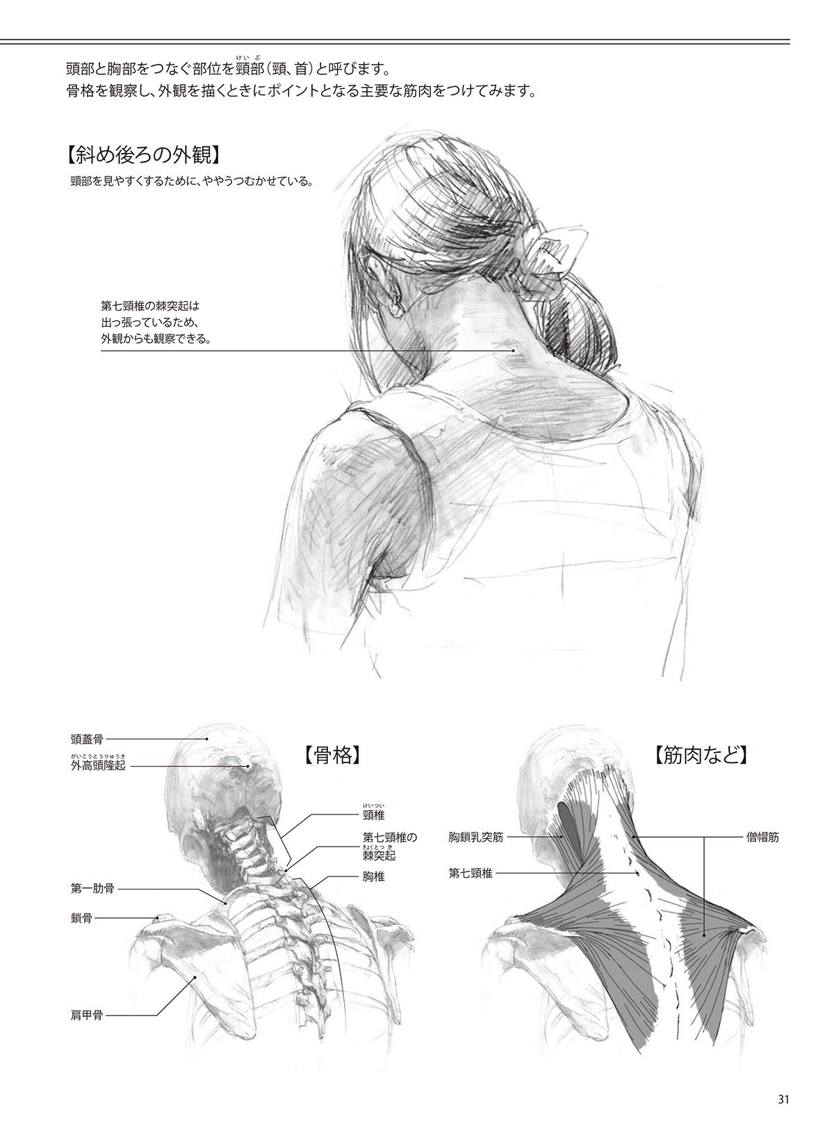 人物を描く基本 使える美術解剖図 | ホビージャパンの技法書