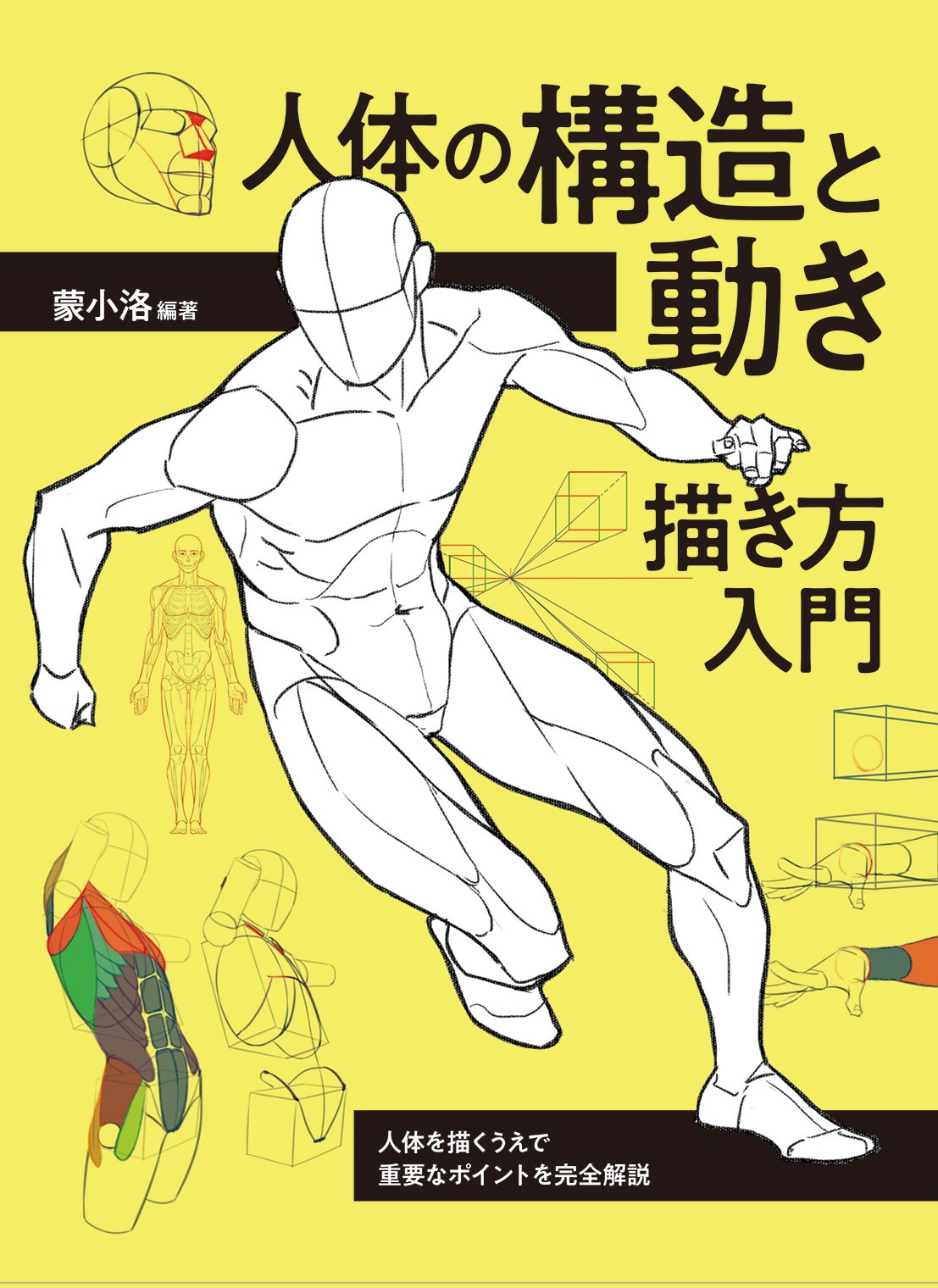 【4月発売】人体の構造と動き 描き方入門 人体を描くうえで重要なポイントを完全解説