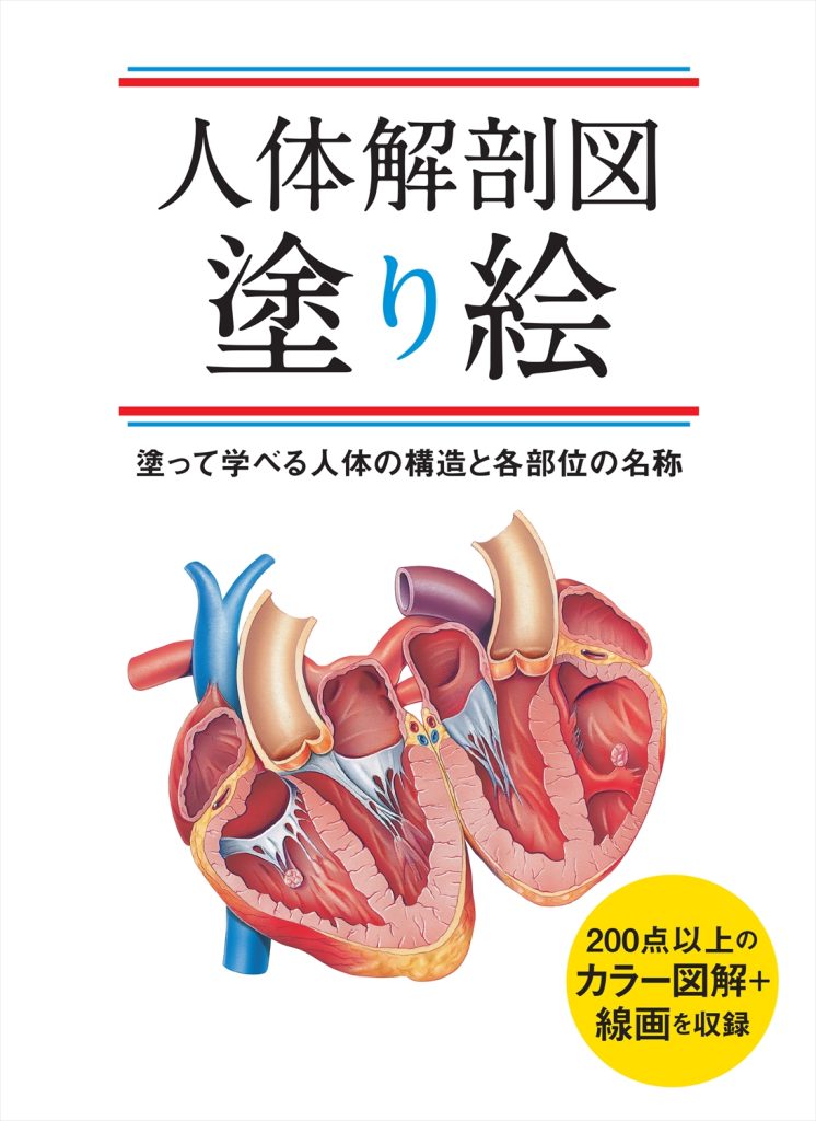 人体解剖図 塗り絵 塗って学べる人体の構造と各部位の名称 | ホビージャパンの技法書